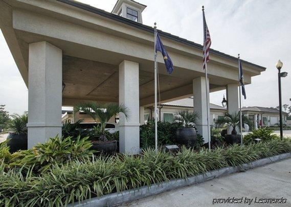 Clarion Inn & Suites Conference Center Covington Dış mekan fotoğraf